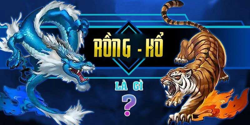 Chi tiết tham gia rồng hổ
