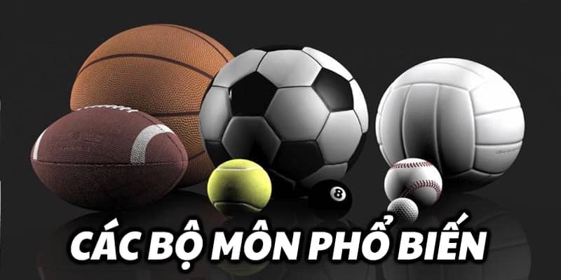 Thể thao 23Win đa dạng bộ môn cá cược